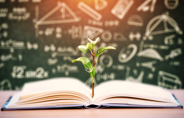 壹号平台注册链接_壹号平台下载安装